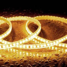 Charger l'image dans la galerie, Ruban LED Dimmable Auto-redressement 220V SMD2835 120LED/m 1000 lm/m IP65 Largeur 12mm sur mesure Coupe tous les 10cm